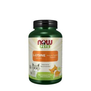 Lemmikit